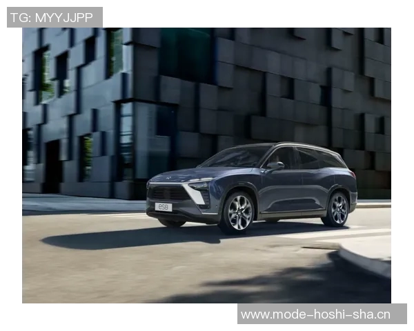 挪威国家队气氛融洽豪门球员众多展现团队精神